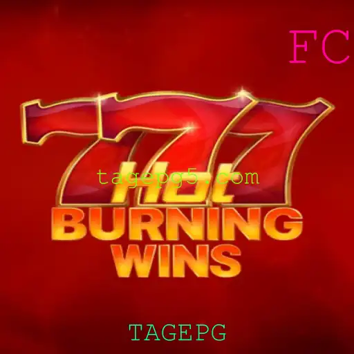 Descubra o Fascinante Mundo de HotBurningWins